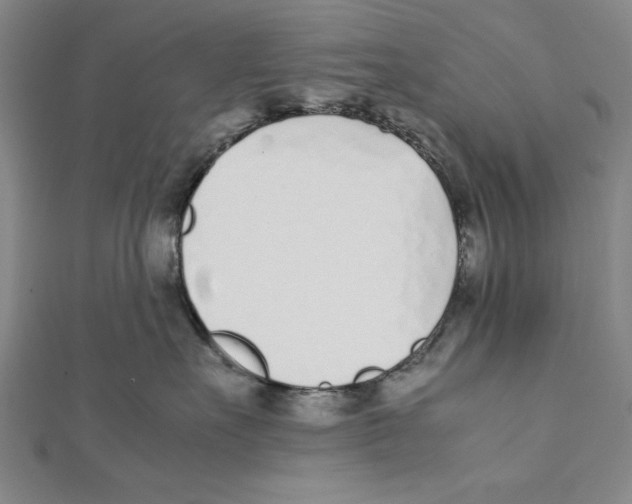 X0000111780527200908201112