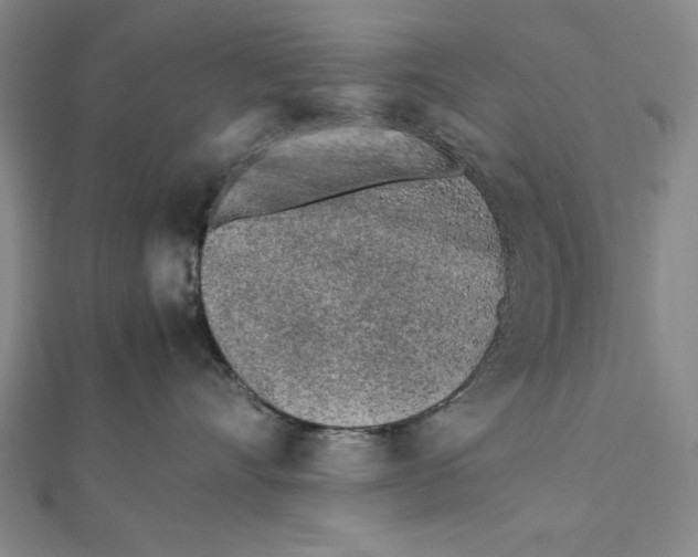X0000111780528200908201112