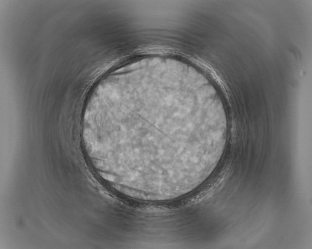 X0000111780529200908201112