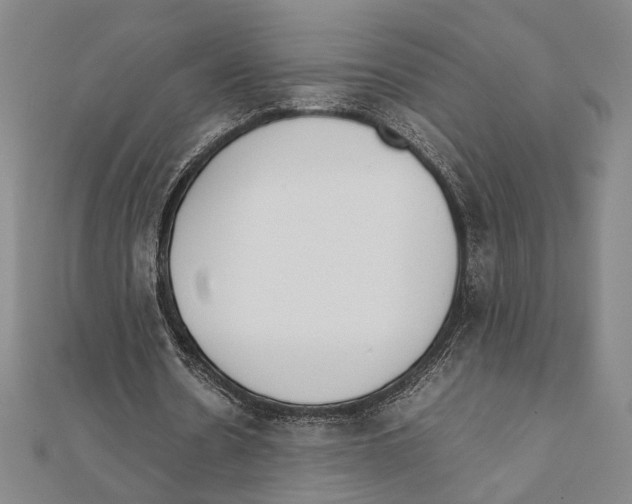 X0000111780530200908201112