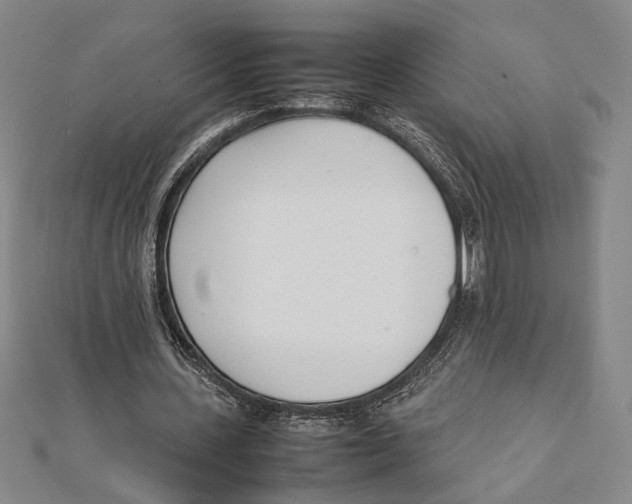 X0000111780531200908201112