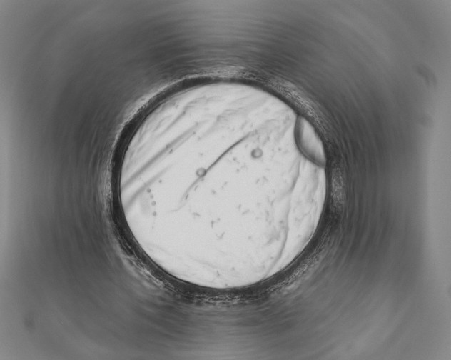 X0000111780532200908201112