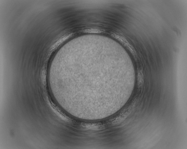 X0000111780533200908201112