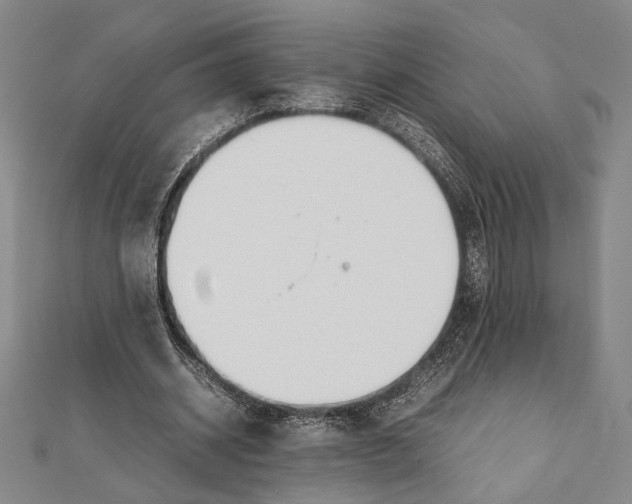 X0000111780534200908201112