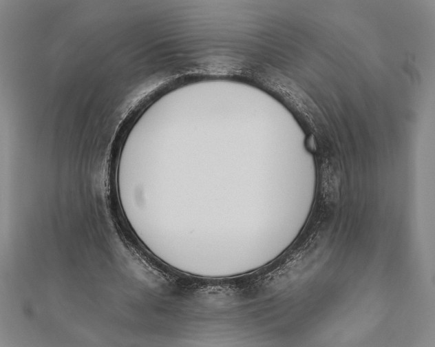 X0000111780536200908201112