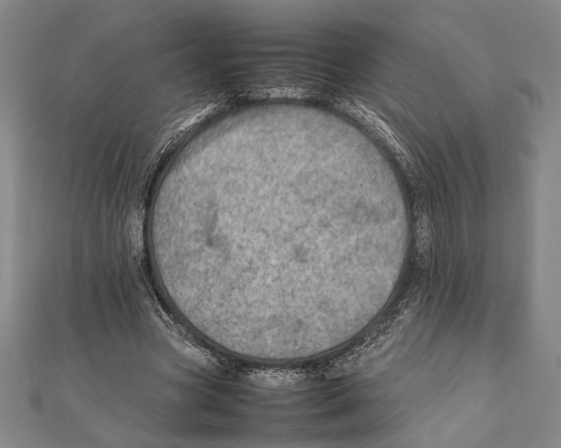 X0000111780537200908201112