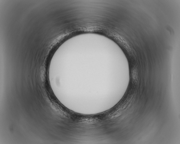 X0000111780540200908201112