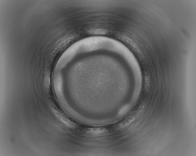 X0000111780541200908201112