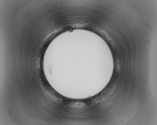 X0000111780543200908201112