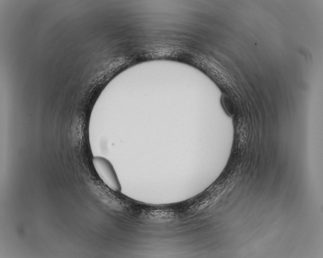 X0000111780546200908201112