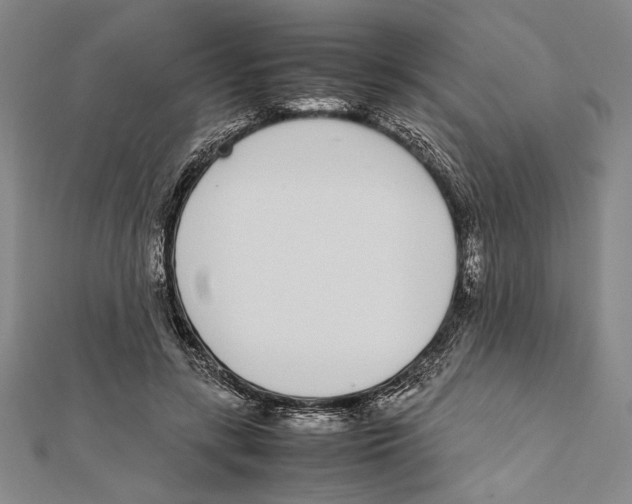X0000111780547200908201112