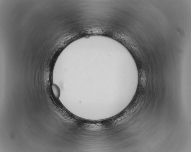 X0000111780548200908201112