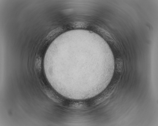 X0000111780550200908201112