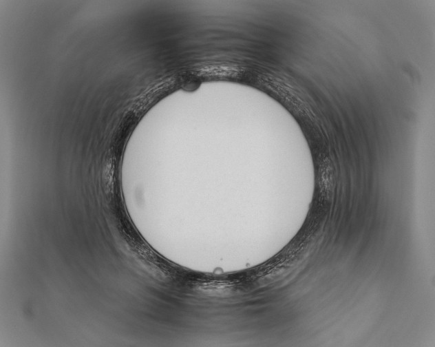 X0000111780551200908201112
