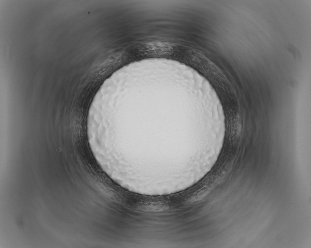X0000111780553200908201112