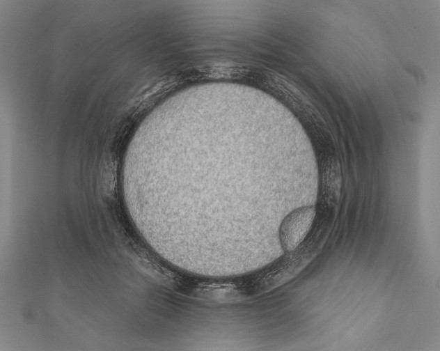 X0000111780554200908201112