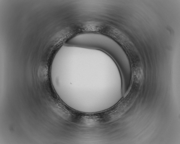 X0000111780556200908201112