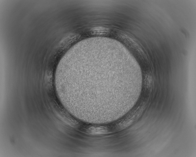 X0000111780557200908201112