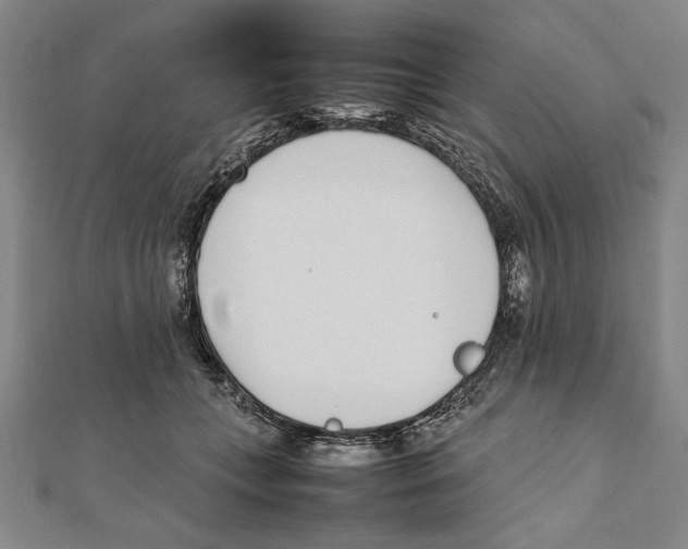 X0000111780559200908201112