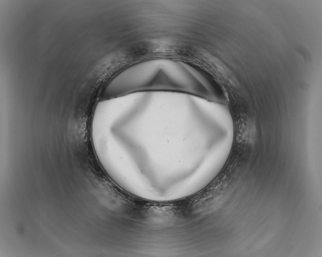 X0000111780560200908201112