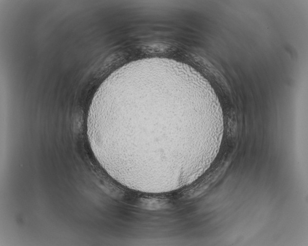 X0000111780561200908201112