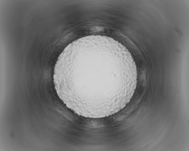 X0000111780565200908201112