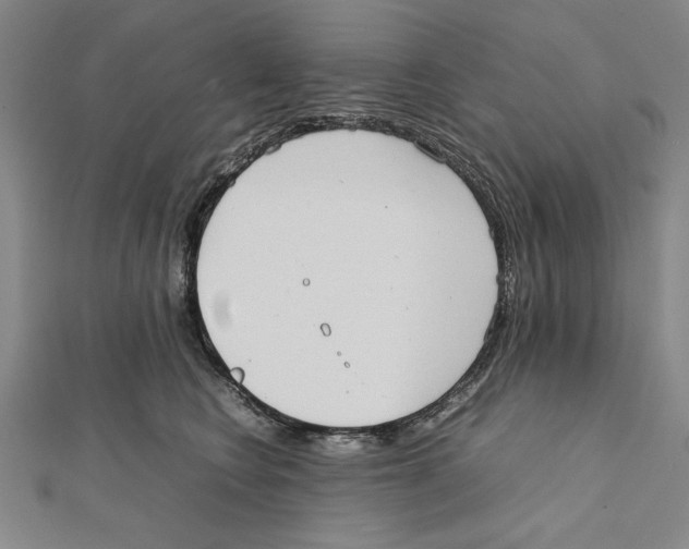 X0000111780566200908201112