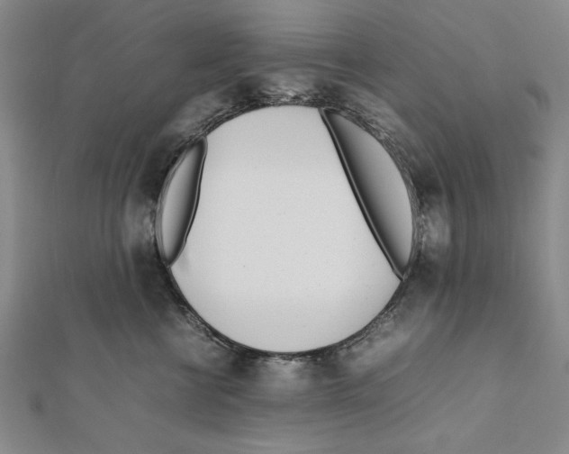 X0000111780570200908201112