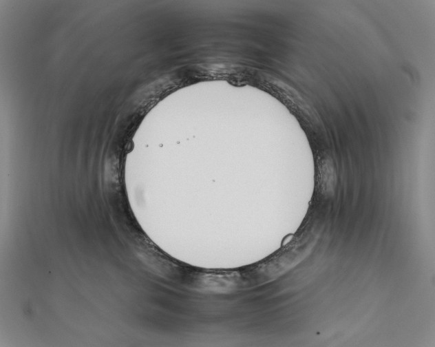 X0000111780571200908201112