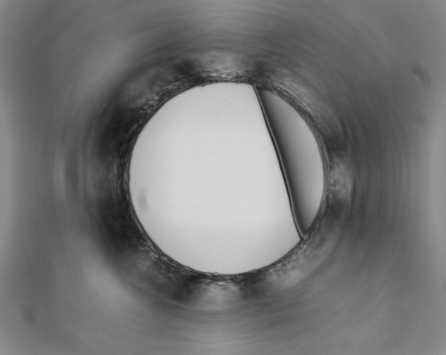 X0000111780572200908201112