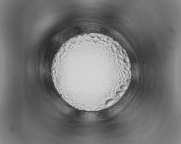 X0000111780573200908201112