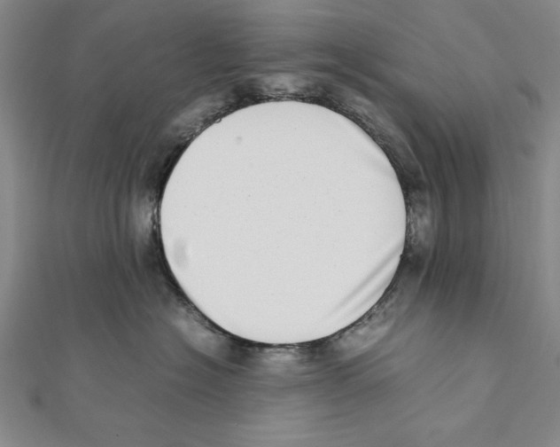 X0000111780574200908201112