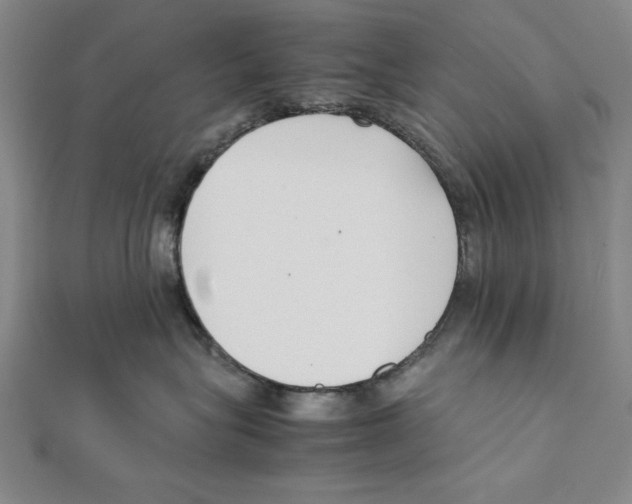 X0000111780575200908201112