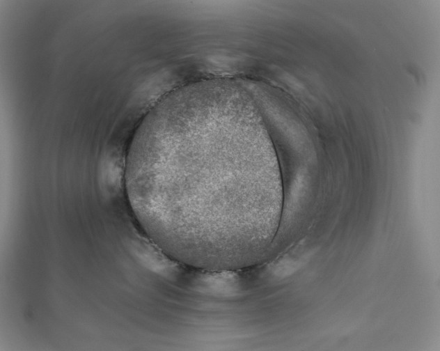 X0000111780576200908201112