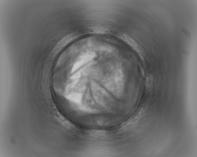 X0000111780577200908201112