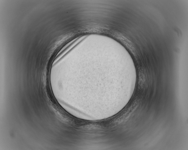 X0000111780578200908201112