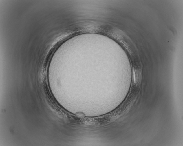 X0000111780579200908201112