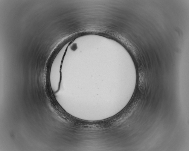 X0000111780580200908201112