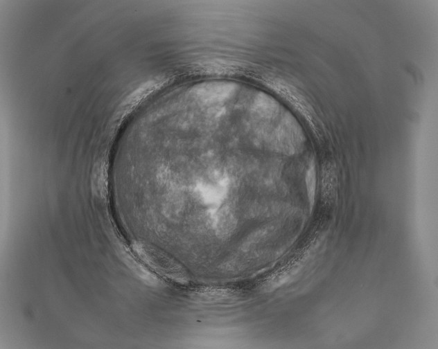 X0000111780581200908201112