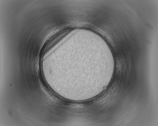 X0000111780582200908201112