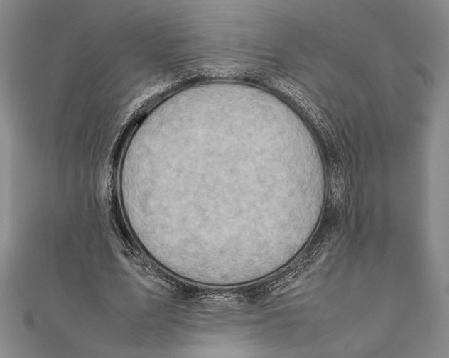 X0000111780583200908201112