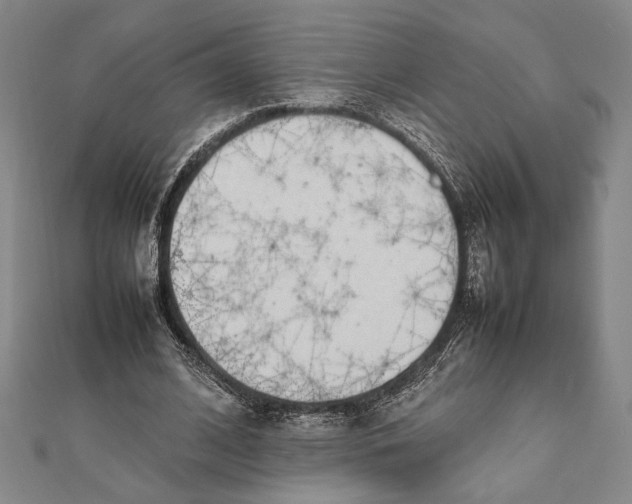 X0000111780584200908201112