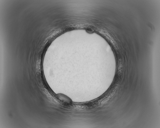 X0000111780585200908201112
