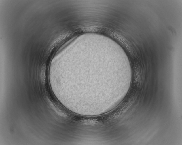 X0000111780586200908201112