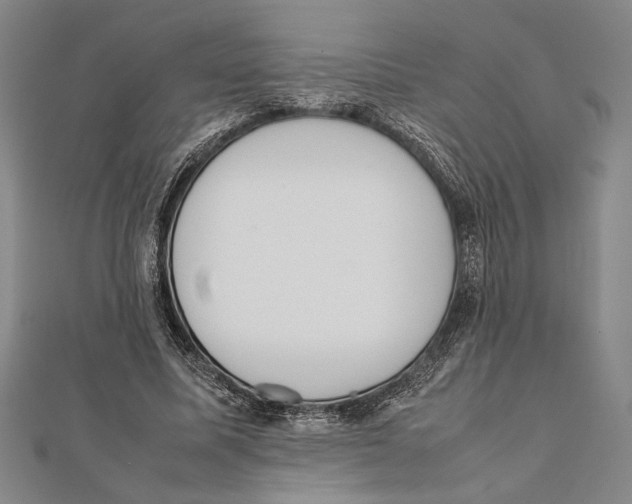 X0000111780587200908201112