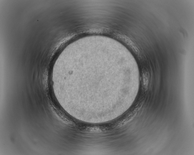 X0000111780588200908201112