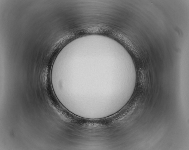X0000111780590200908201112