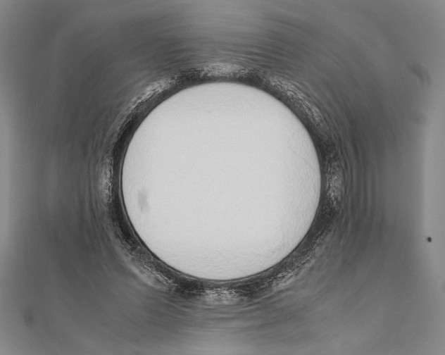 X0000111780591200908201112
