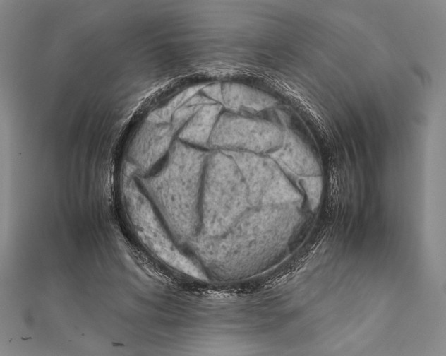 X0000111780592200908201112