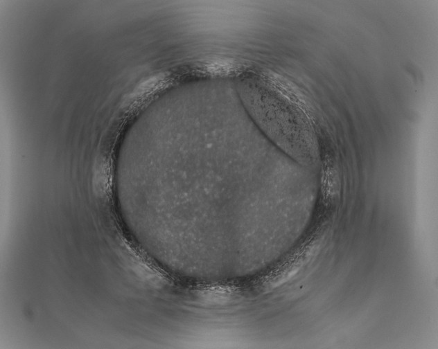 X0000111780593200908201112